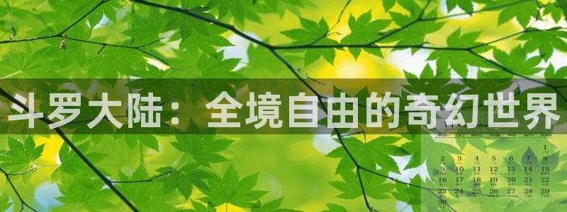 51漫画网页：斗罗大陆：全境自由的奇幻世界