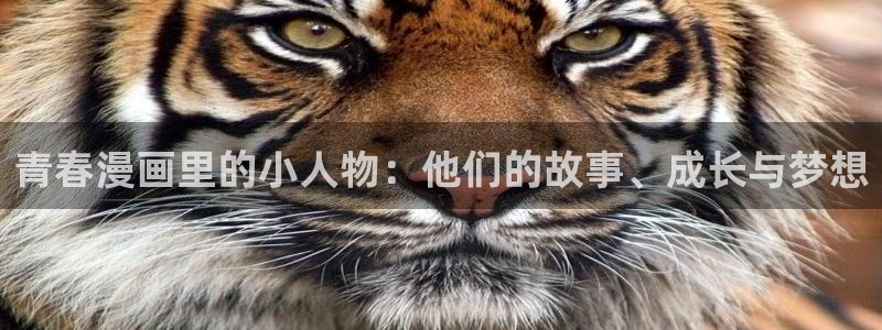 51漫画轻量版苹果版：青春漫画里的小人物：他们的故事、成长与梦想