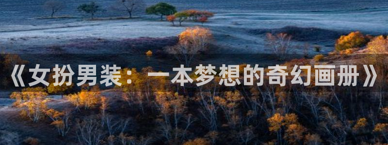 51漫画首页入口：《女扮男装：一本梦想的奇幻画册》