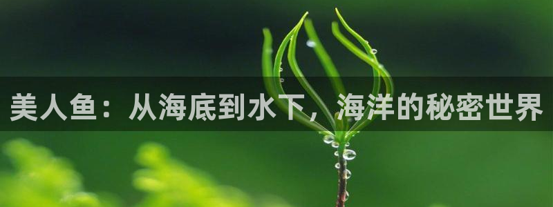 51漫画官网：美人鱼：从海底到水下，海洋的秘密世界